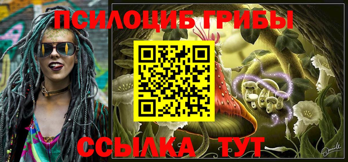 Галлюциногенные грибы Magic Shrooms Ижевск