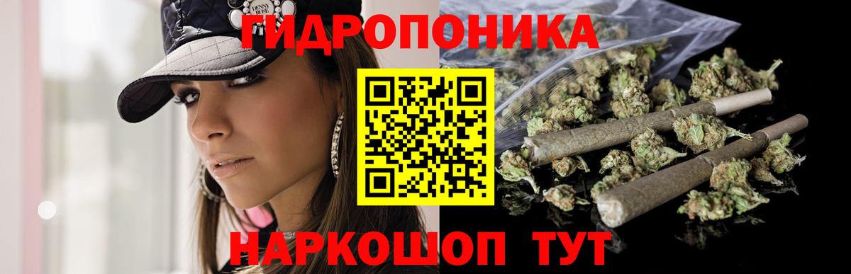 Бошки Шишки Bruce Banner  Конопля VHQ  Конопля планчик  Ижевск  Вход с VPN 